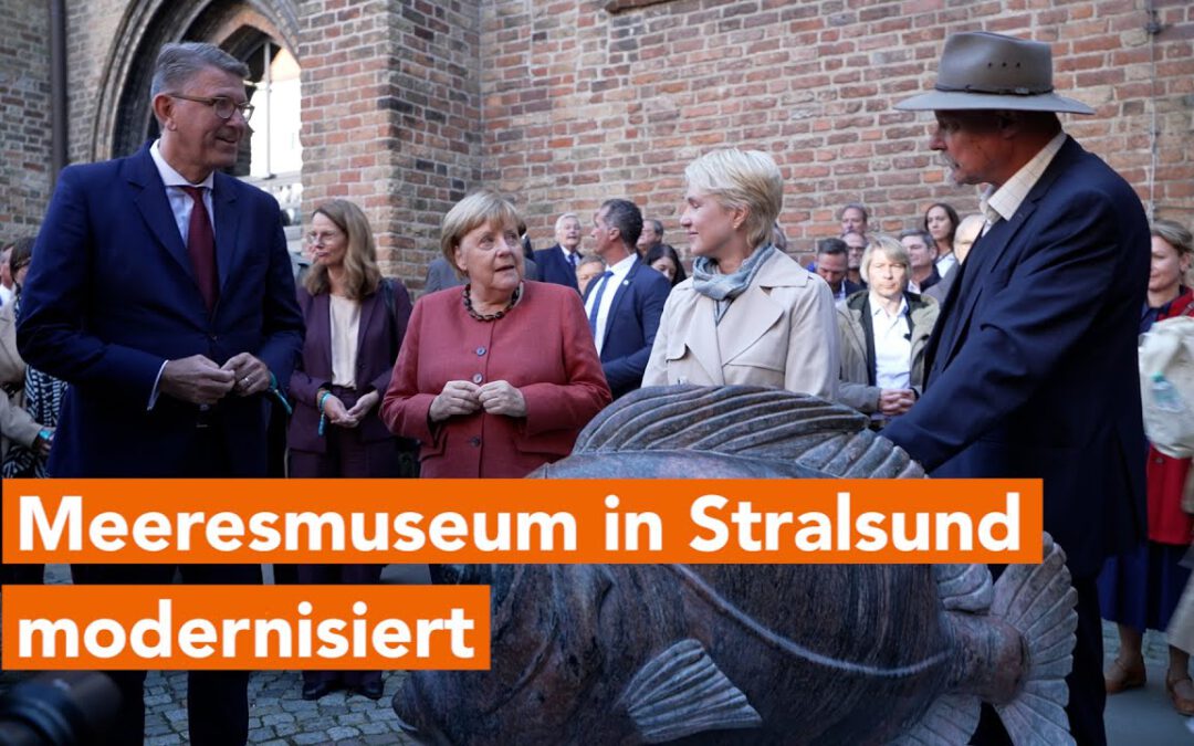 Meeresmuseum Stralsund: Festakt zum Abschluss der Sanierung.